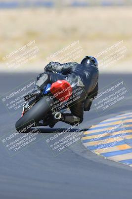 media/May-13-2023-SoCal Trackdays (Sat) [[8a473a8fd1]]/Turn 11 Backside (945am)/